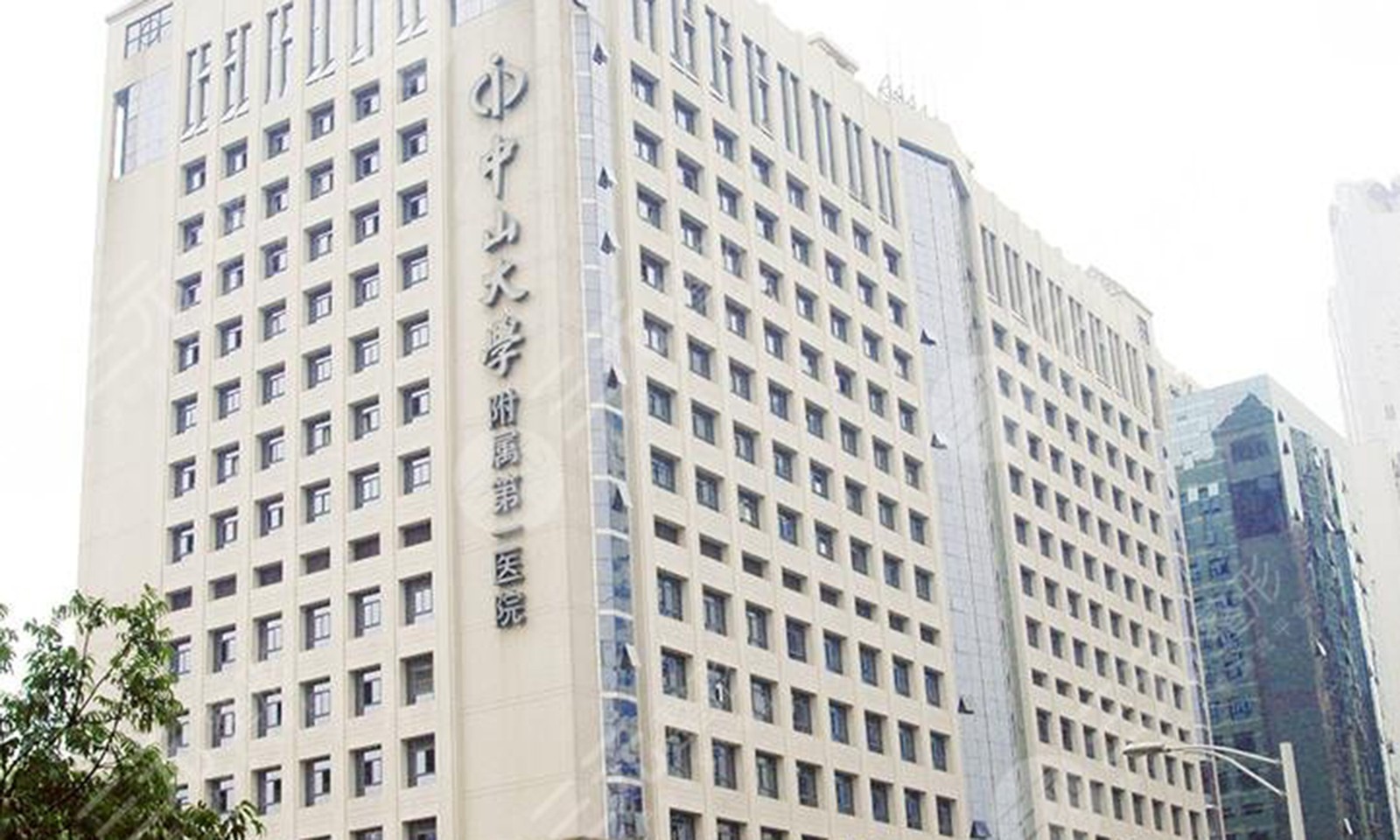 中山大學附屬第一醫(yī)院